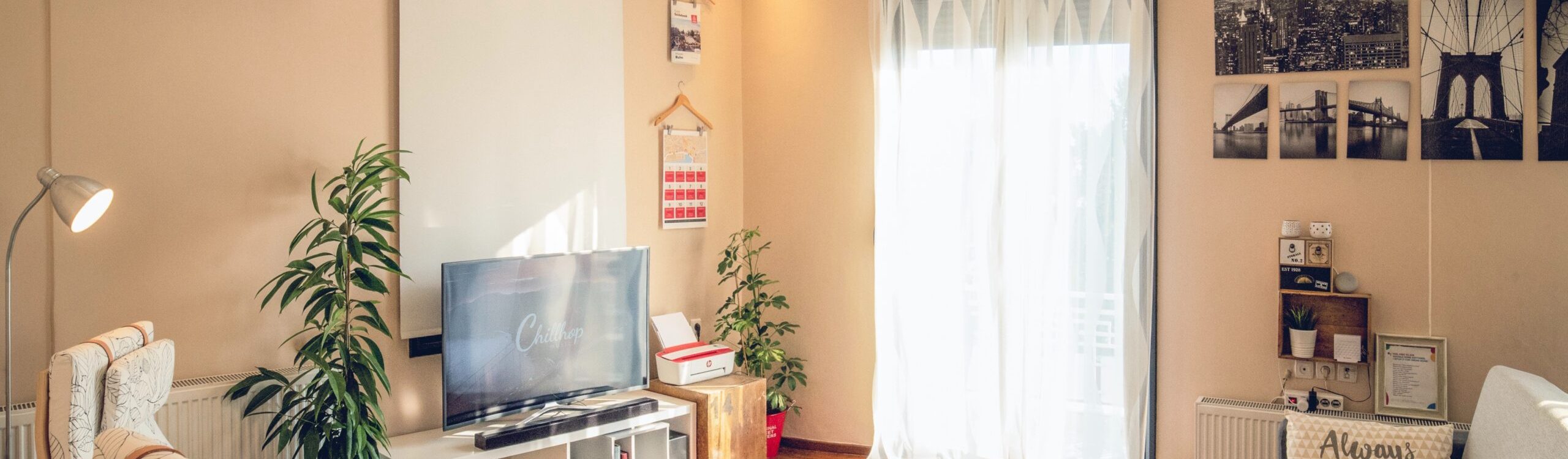 pexels-john-tekeridis-1428348