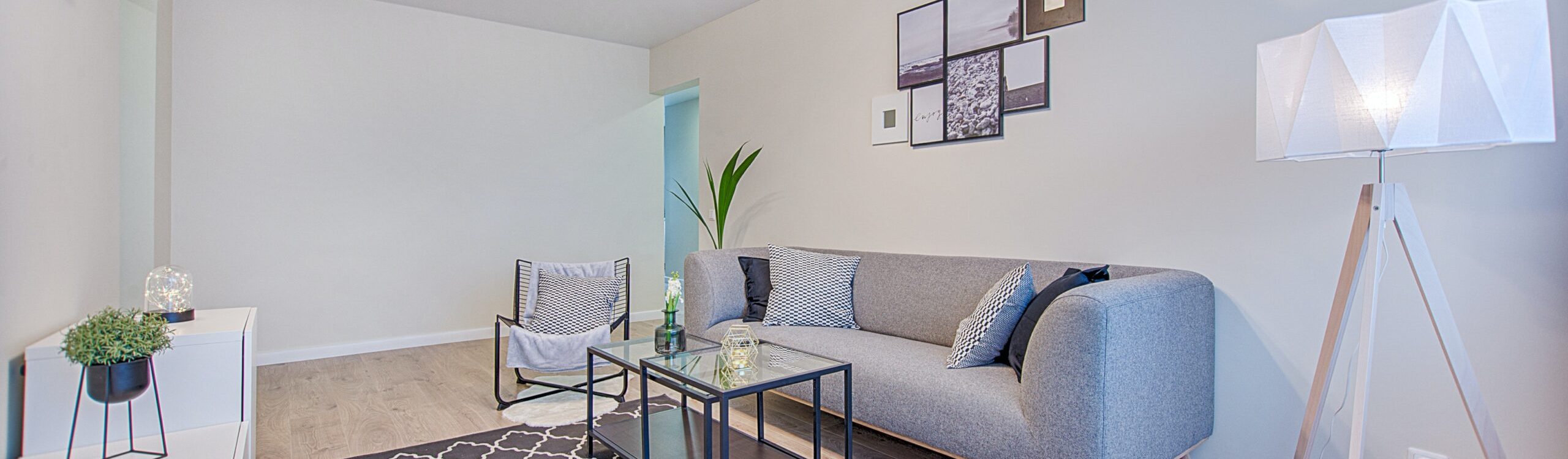 pexels-vecislavas-popa-1571468